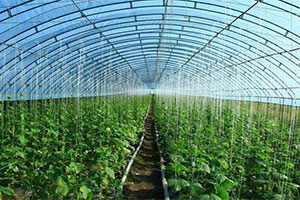 温室大棚智慧物联网